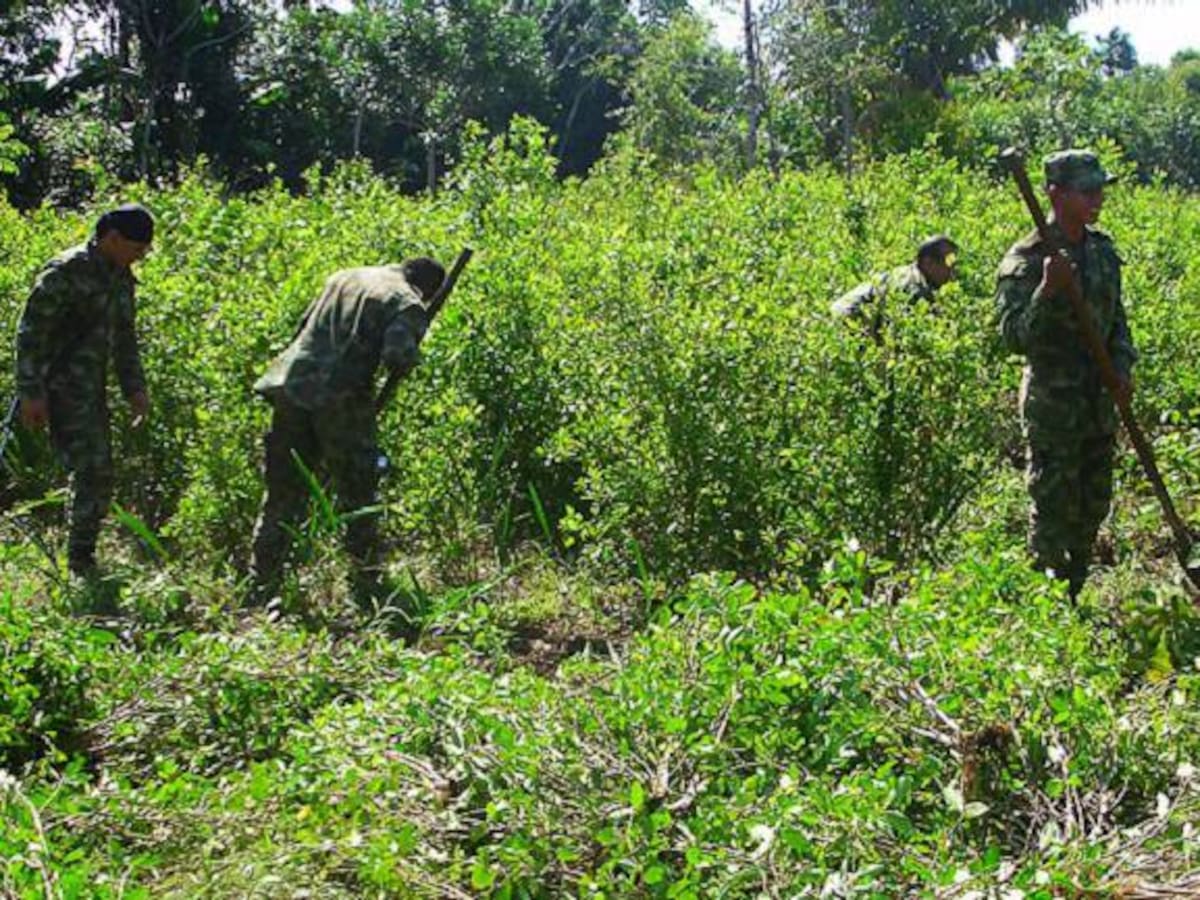 Nadie debe amenazarnos para enfrentar el desafío de la lucha antidrogas: Gobierno