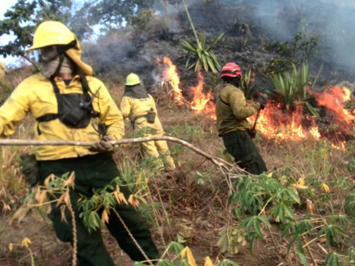14 incendios activos en Nariño han consumido 450 hectáreas