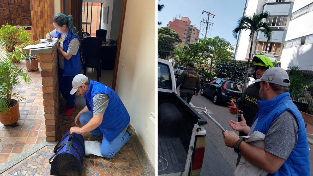 Indignación en Santander por varios casos de maltrato animal
