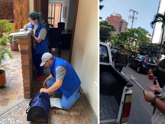 Indignación en Santander por varios casos de maltrato animal