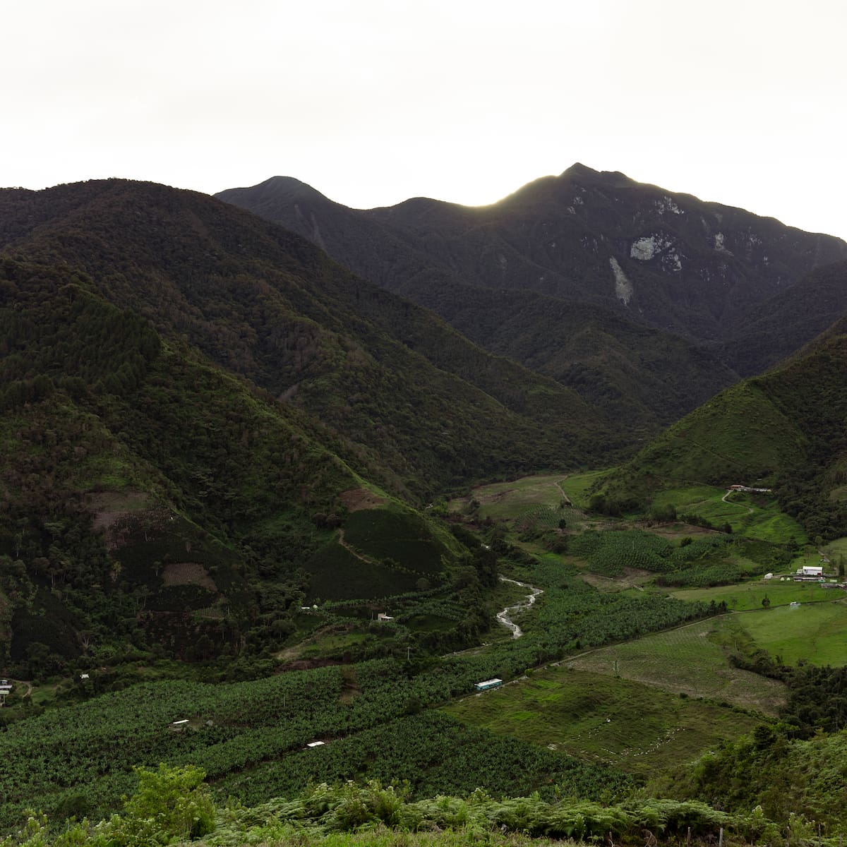 Para proteger la biodiversidad, se restringió el ingreso durante un año al Cerro Plateado en Salgar