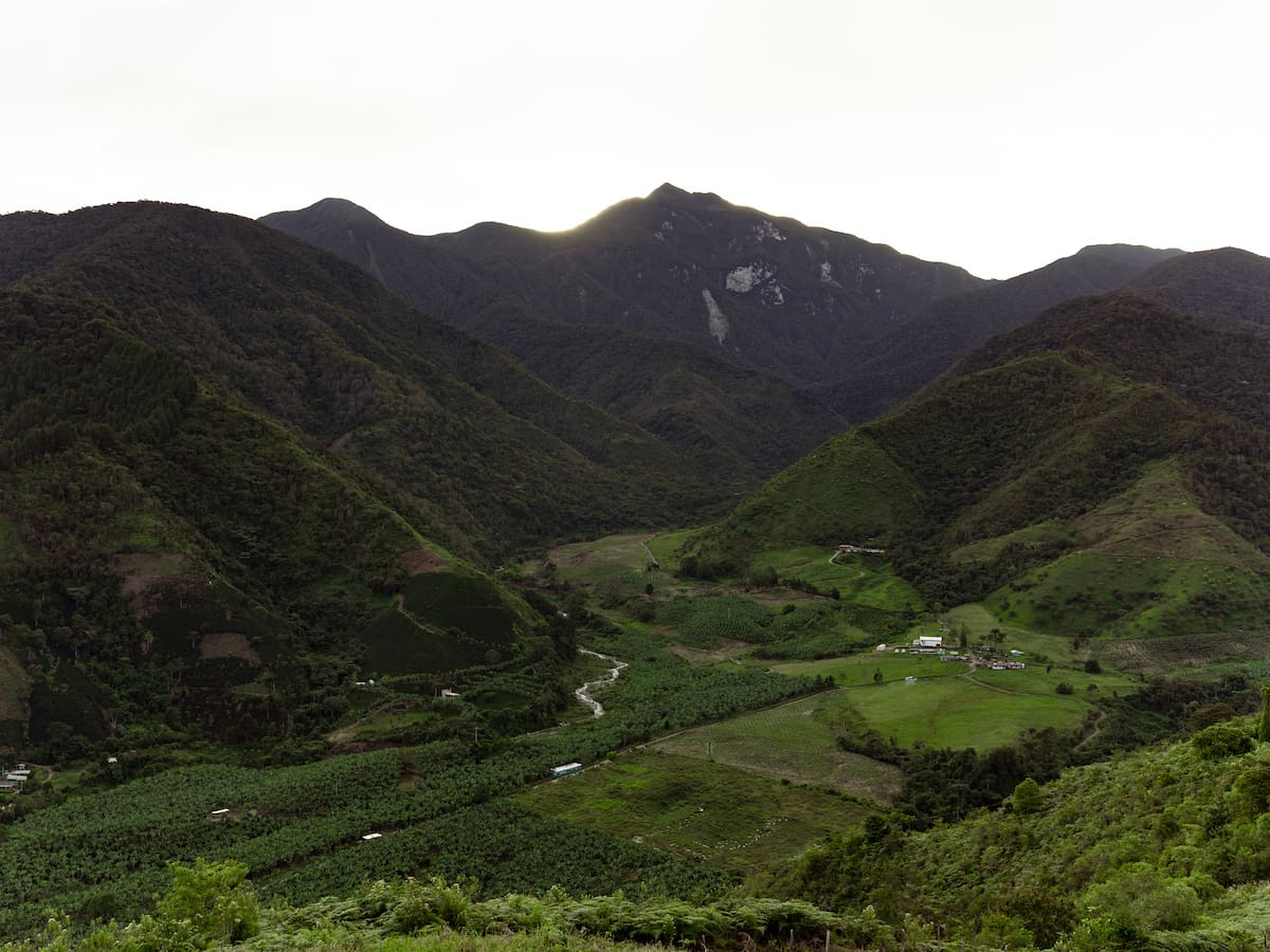 Para proteger la biodiversidad, se restringió el ingreso durante un año al Cerro Plateado en Salgar