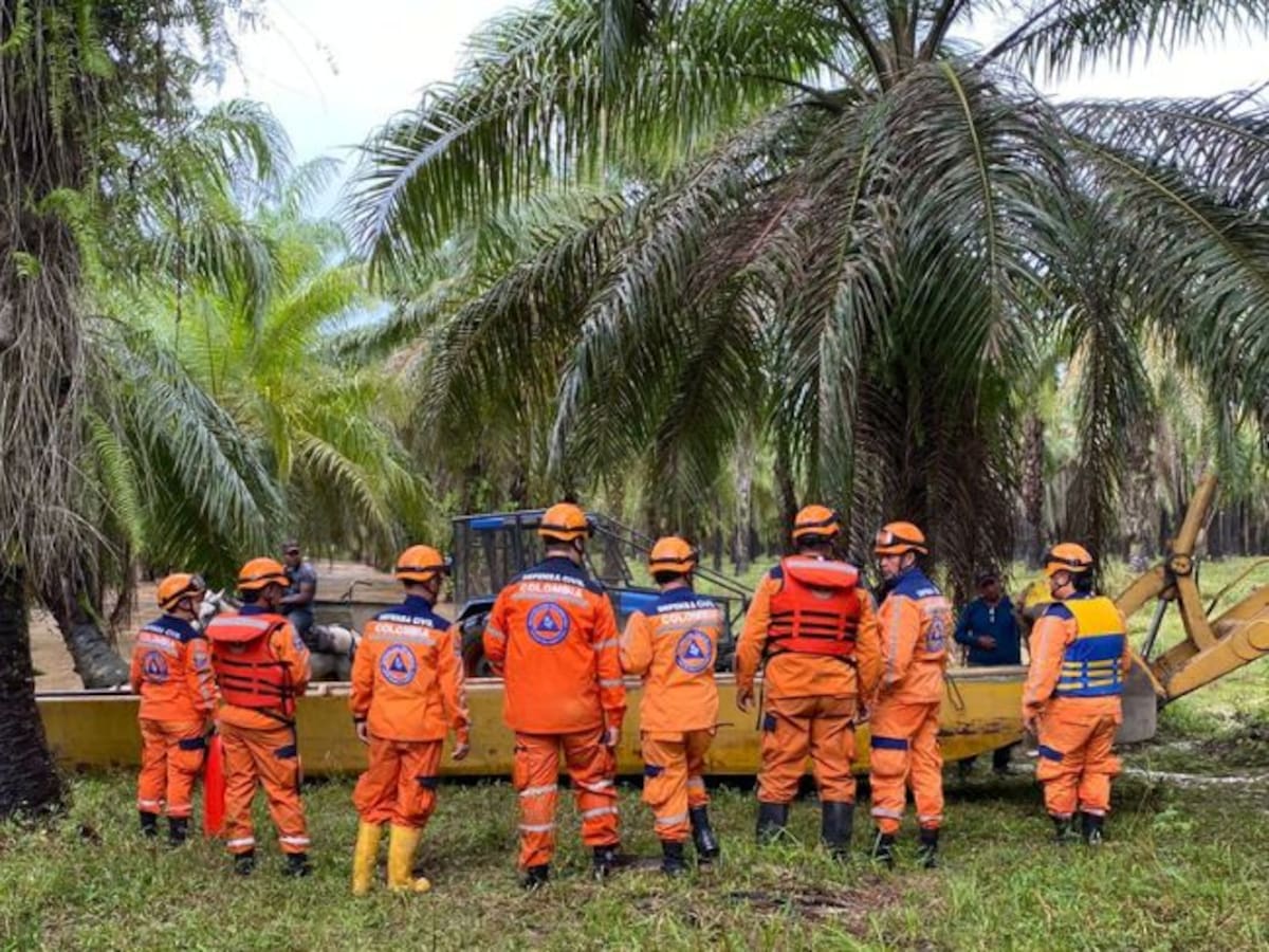Más de dos toneladas de ayudas humanitarias llegarán a Lebrija tras la creciente del río