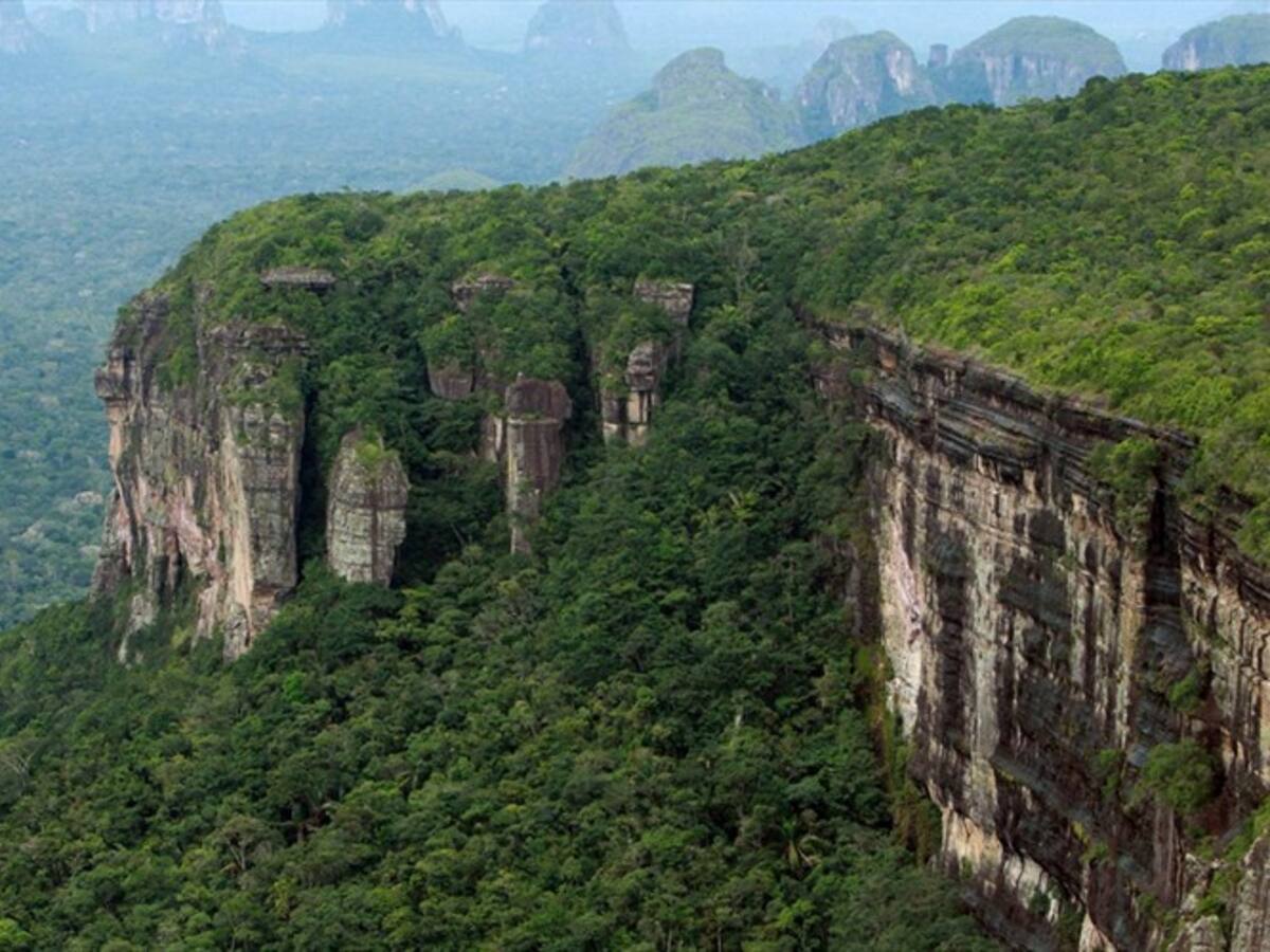 El país cuenta con impuestos que garantizan la sostenibilidad ambiental: Minhacienda