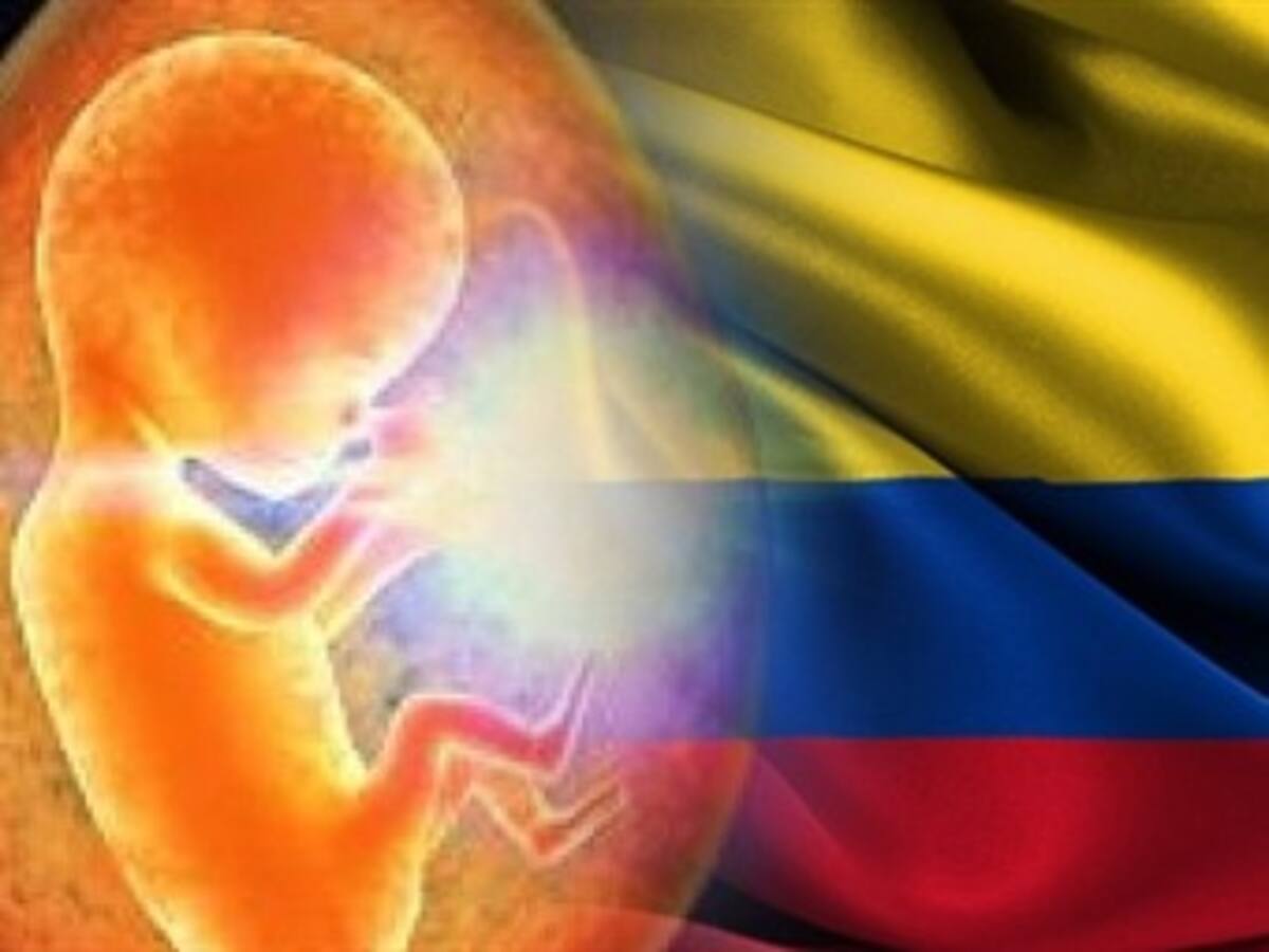 Listas las firmas para el referendo contra el aborto