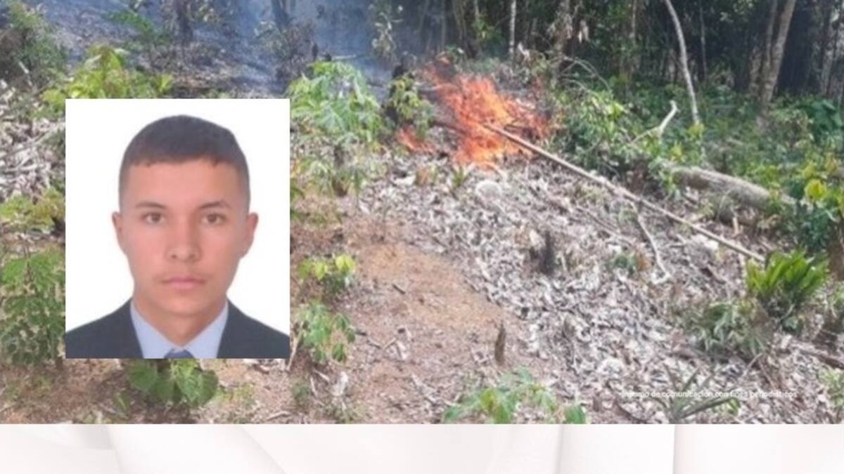 En el Caquetá condenan a un hombre a prisión por tala indiscriminada de bosques