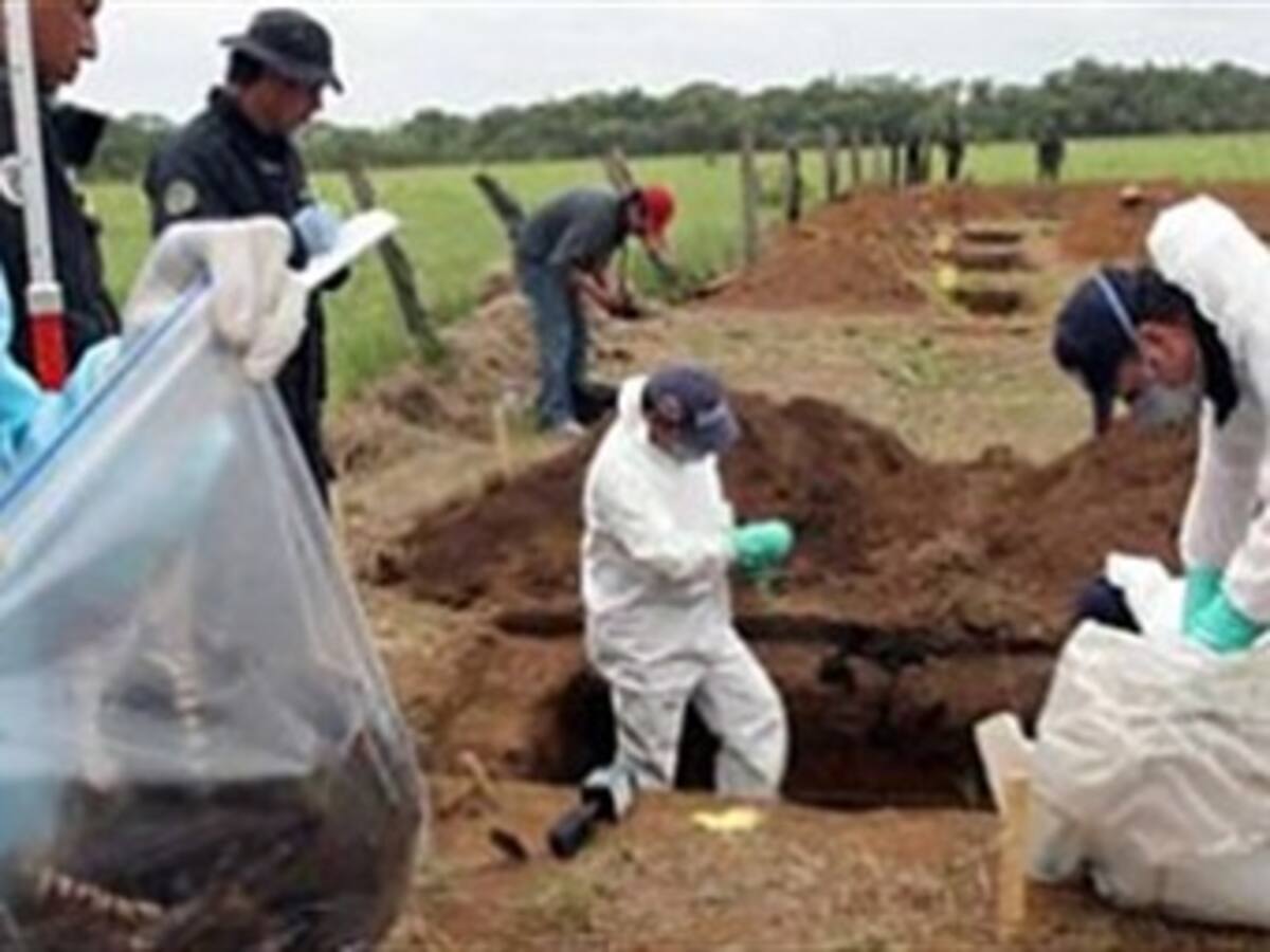 Hallan fosas comunes con 12 cuerpos en el Meta