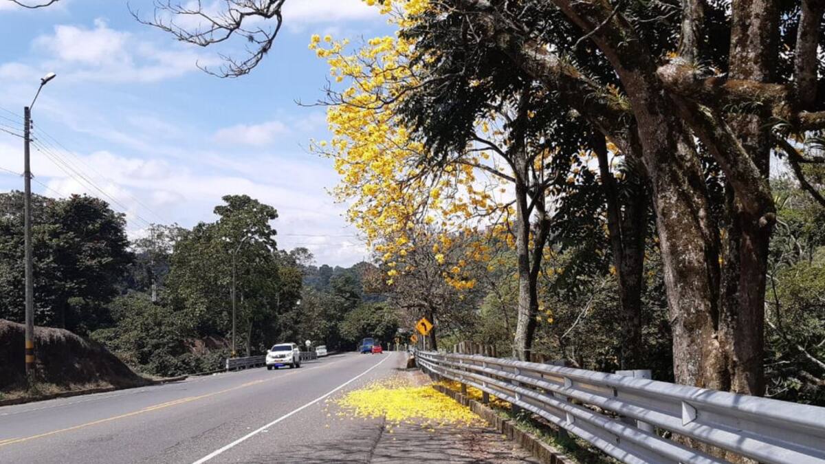 Lunes 4 de octubre, las principales noticias de Armenia y Quindío