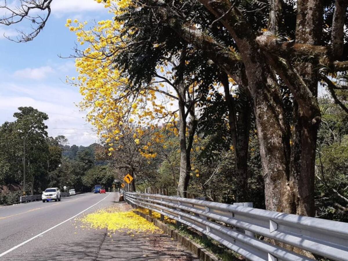 Lunes 4 de octubre, las principales noticias de Armenia y Quindío