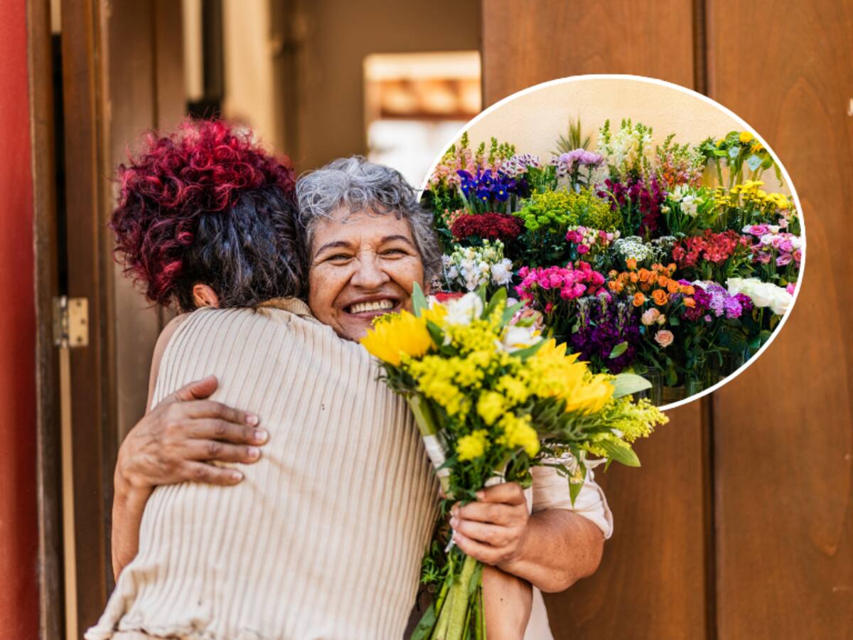 Flor de Colombia para regalar el Día de la Madre: ¿cuál es su poderoso significado? Atrae fuerza y fortuna