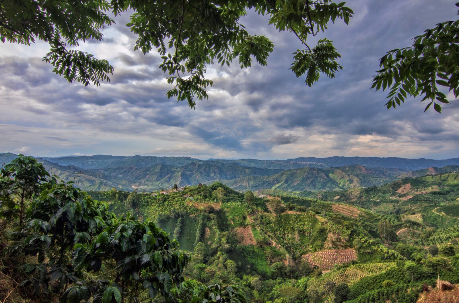 Gobernación de Risaralda.