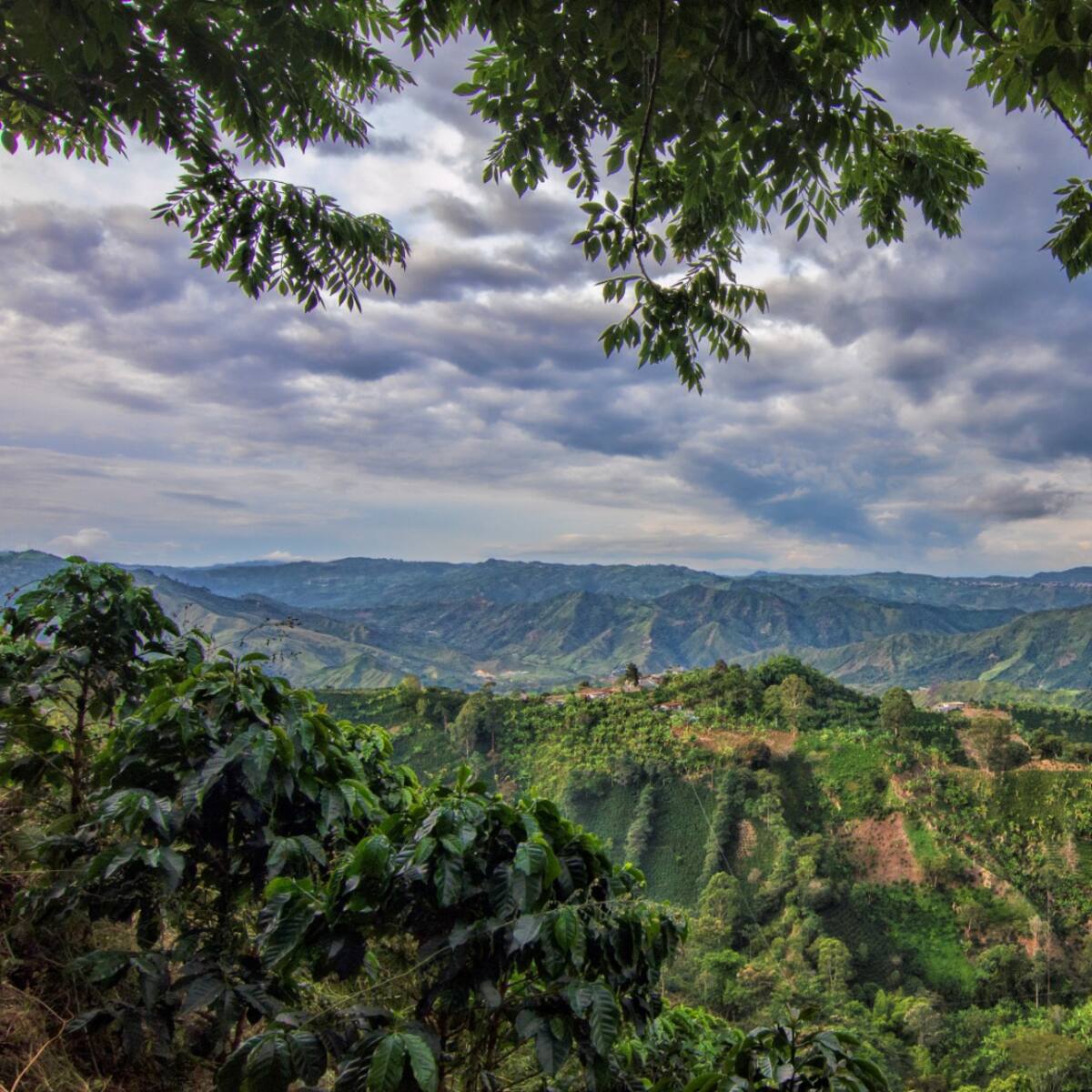 Risaralda lista para recibir a los turistas en Semana Santa