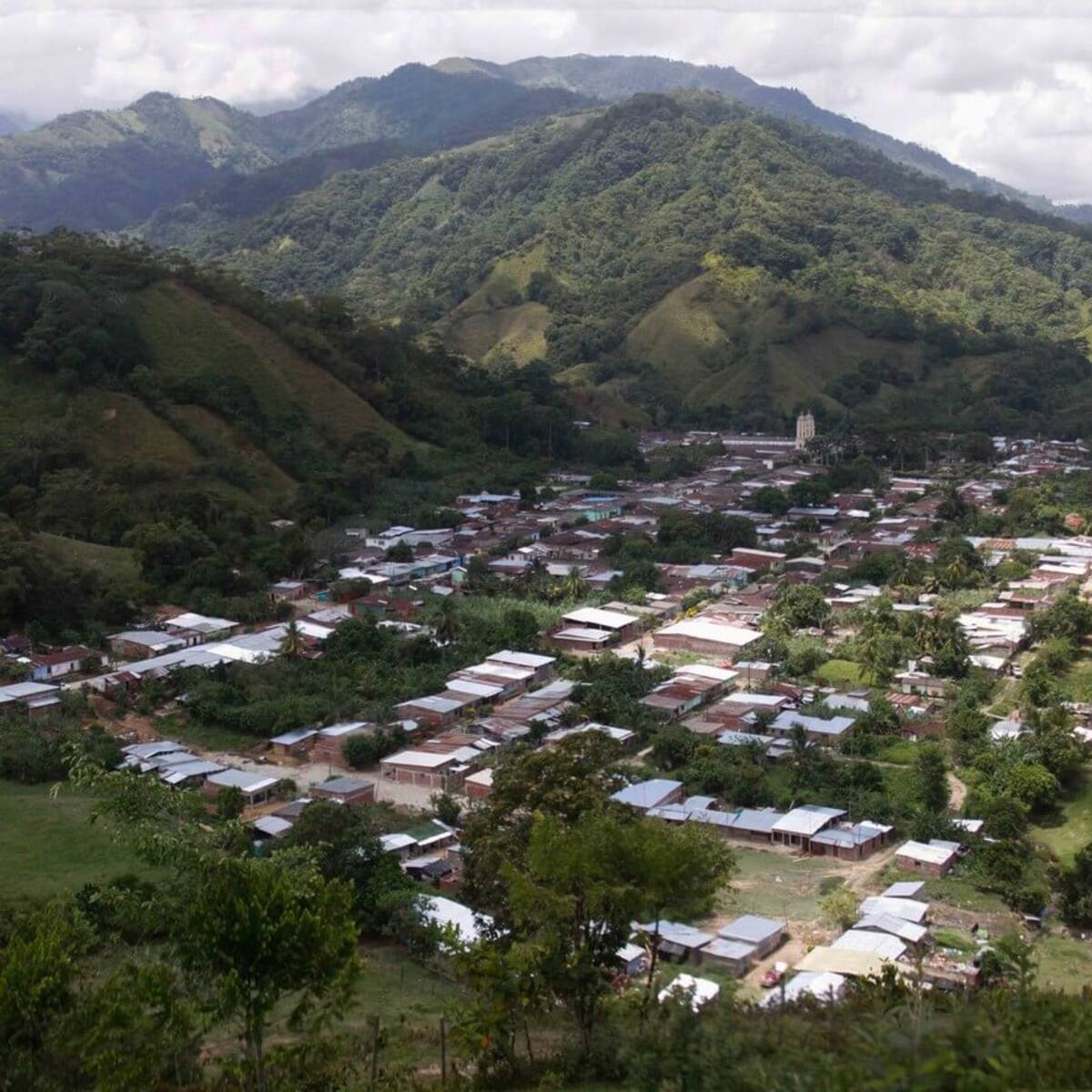 Alertan posible desplazamiento masivo de campesinos en zona rural de Sardinata, Norte de Santander