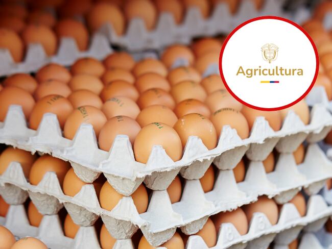 MinAgricultura inicia compra de huevos para atender a familias vulnerables y apoyar a campesinos.