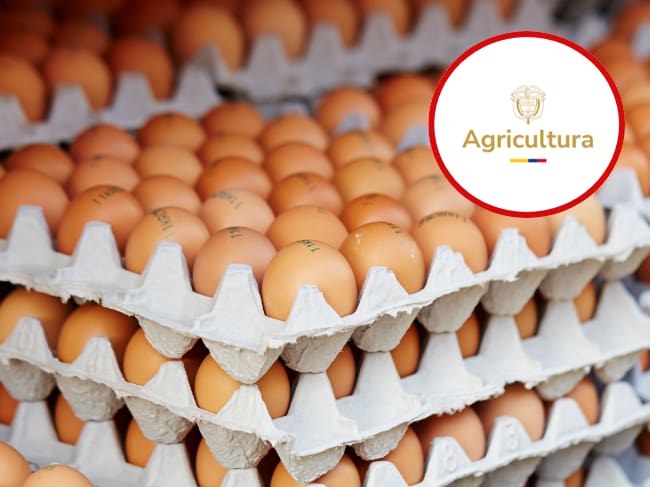 MinAgricultura inicia compra de huevos para atender a familias vulnerables y apoyar a campesinos.