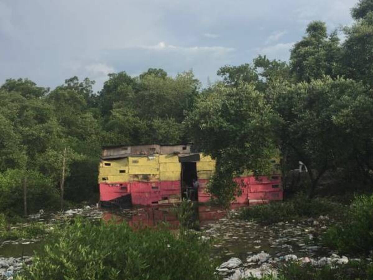 Desbordamiento de la Ciénaga Grande de Santa Marta deja nuevos damnificados