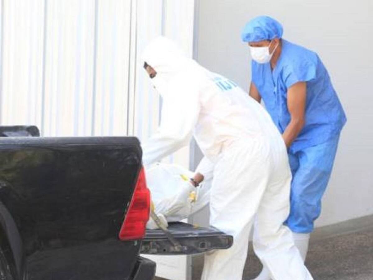 Falleció joven tras caer de un árbol en Magangué