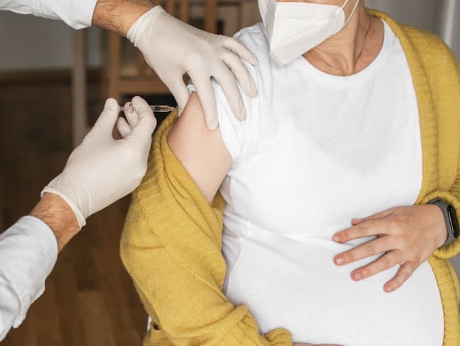 Imagen de referencia