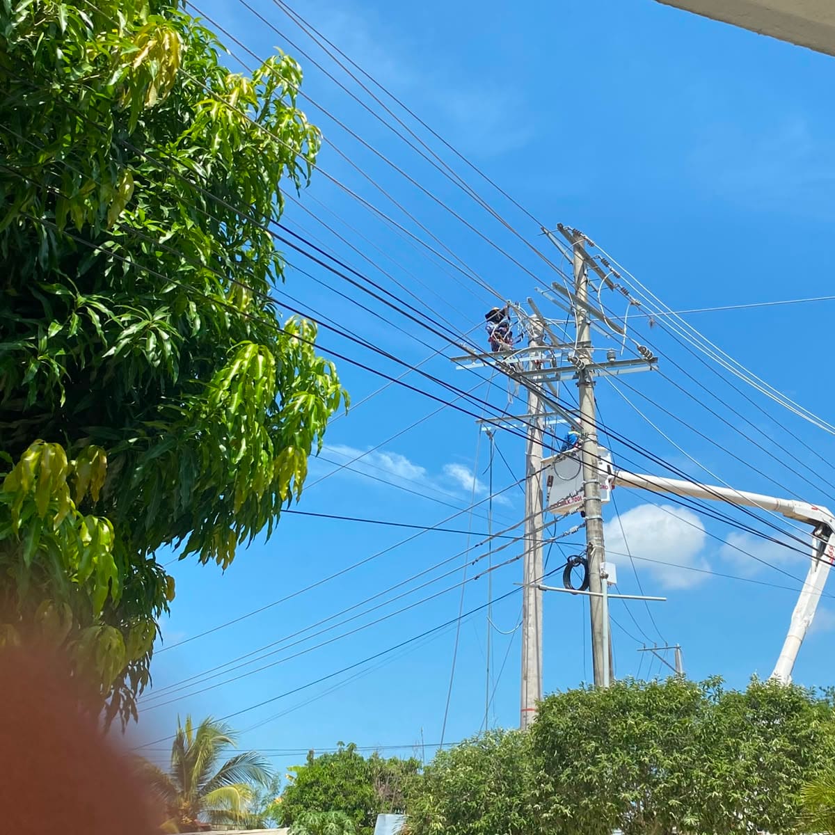 Programación de Afinia para el domingo 2 de agosto en Bolívar