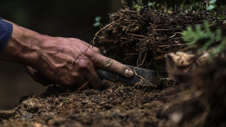 Imagen de referencia. Foto: Getty Images