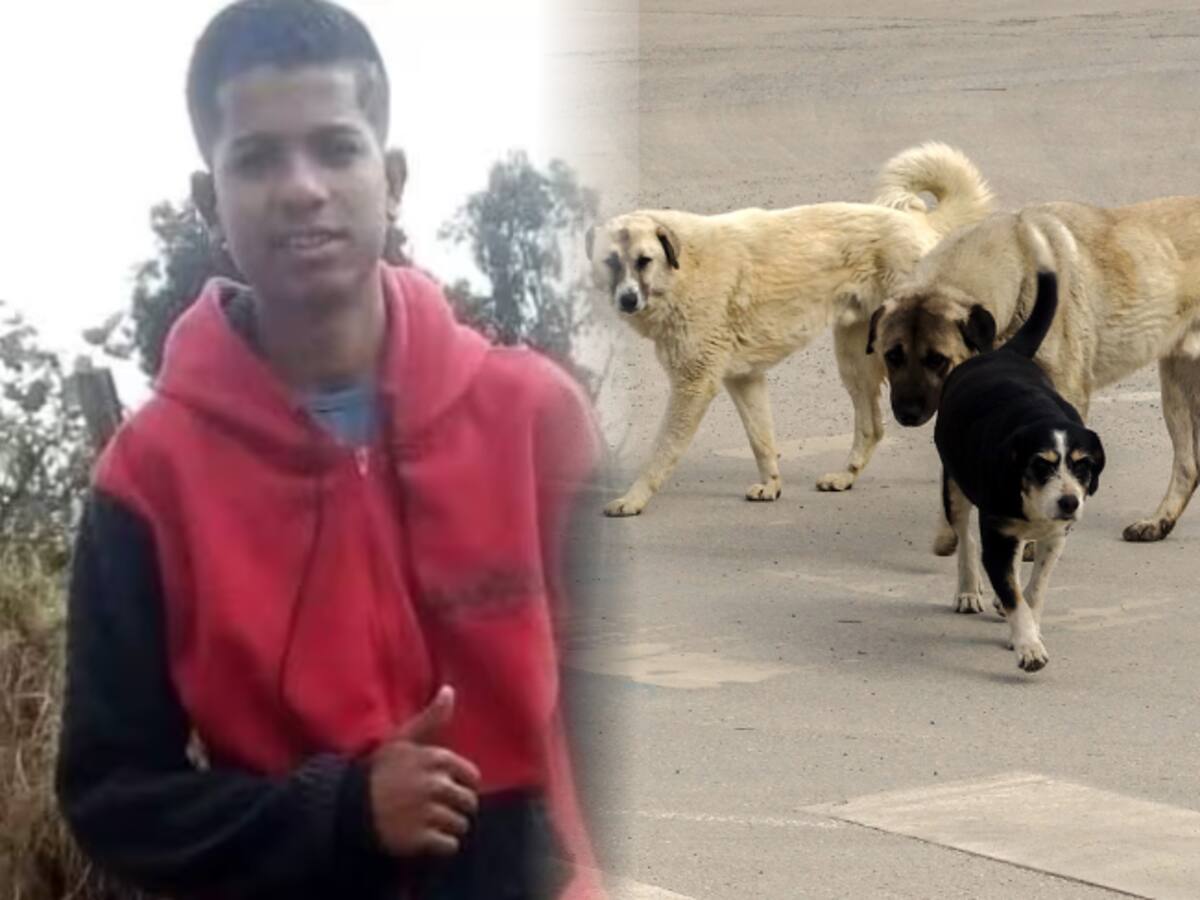“Me dijo que le revisara sus manos, no supe qué decirle”: padre de joven atacado por nueve perros