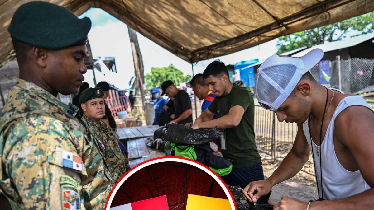 Panamá: hoy inician vuelos de repatriación de migrantes que cruzan el Darién