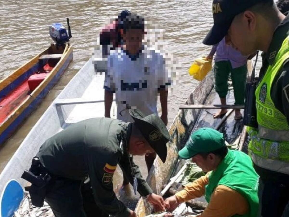 Controles durante la subienda en Honda