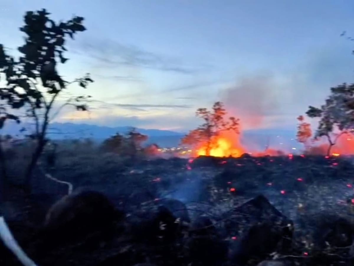 Neiva enfrentó cuatro incendios forestales en un día