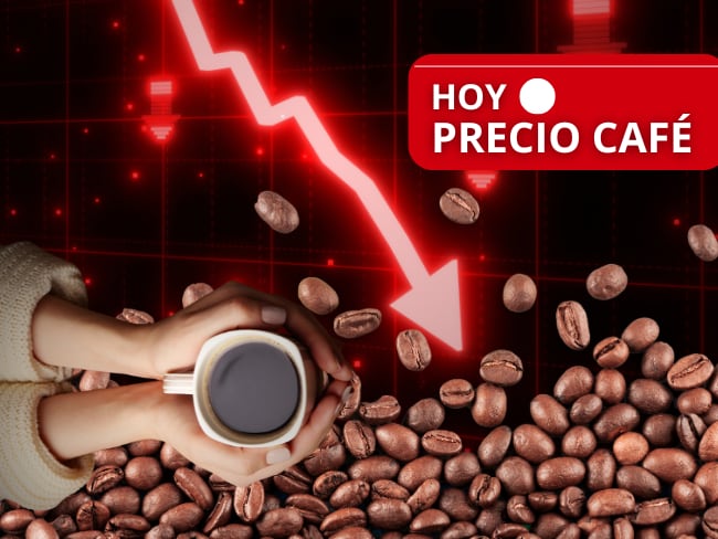 ¡Gran caída! FNC establece el precio del café en Colombia HOY, 18 de diciembre