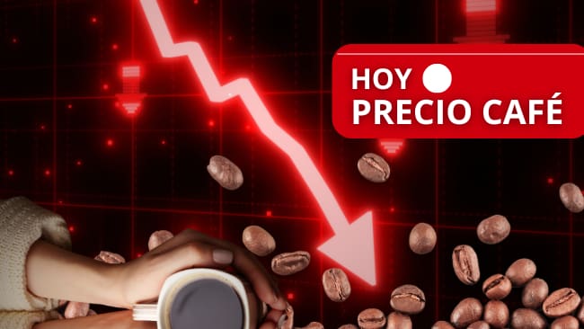 Precio del café HOY // estadísticas // granos de café // Bebida de café