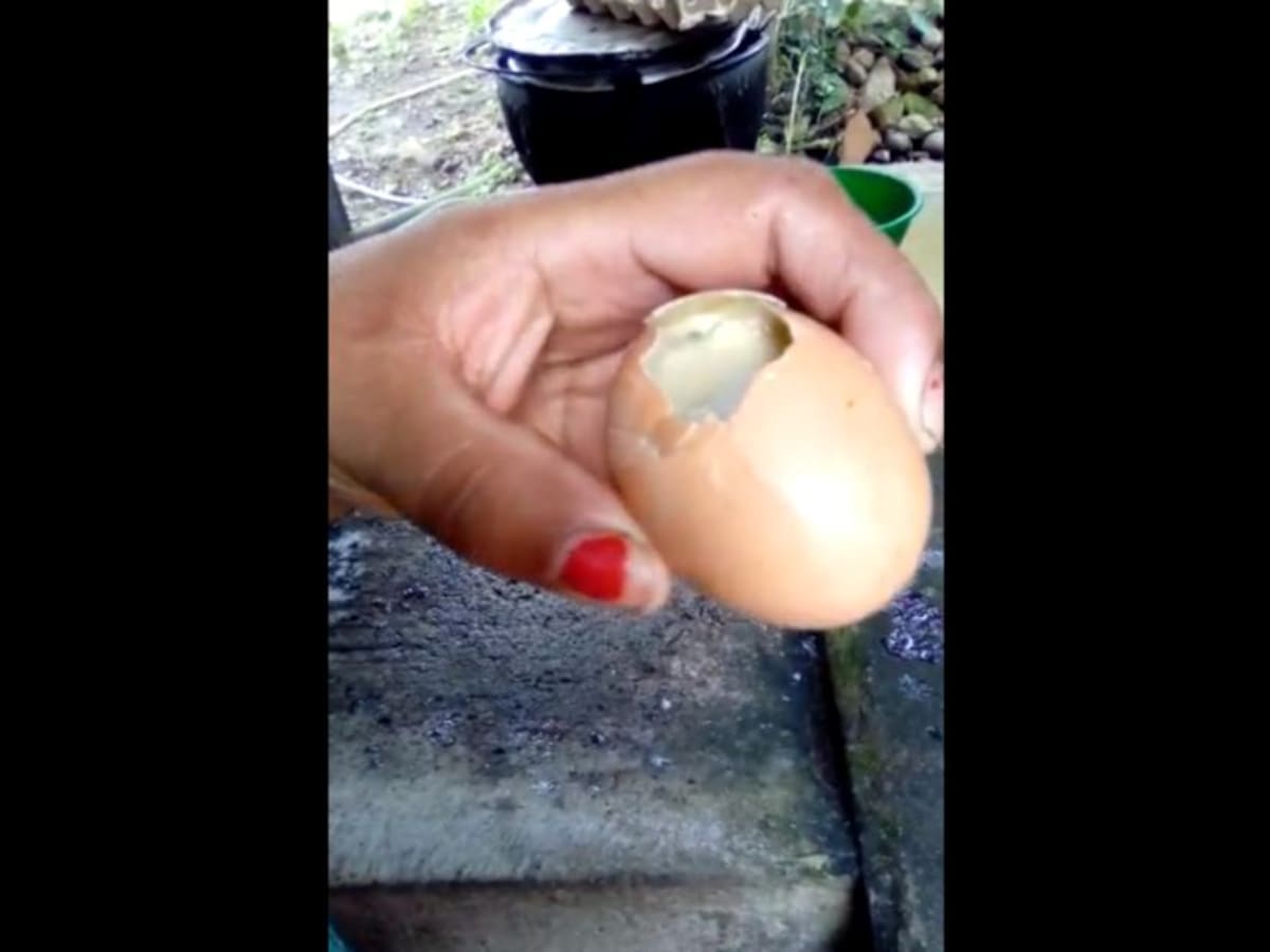Denuncian mala calidad en huevos del PAE en Garzón, Huila
