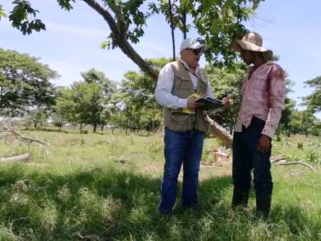 ICA Bolívar realizó brigadas fitosanitarias contra plagas en frutales