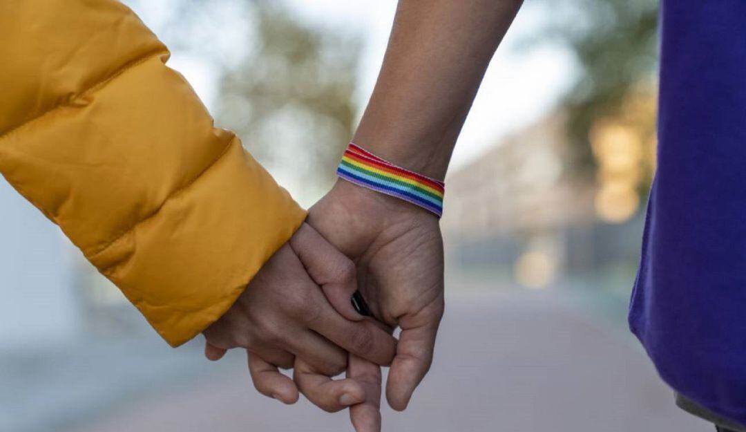 Imagen de referencia