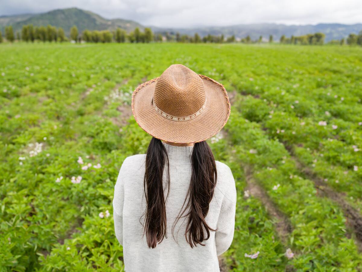 Ni la cebolla, ni el café: Este es el producto que más se cultiva en Boyacá, ¿lo ha probado?