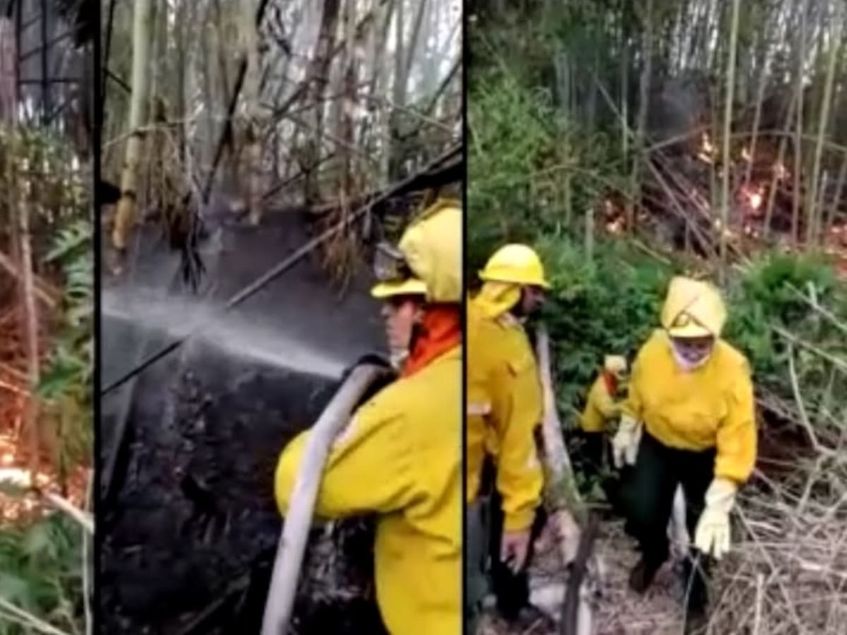 Bomberos de Sevilla están al límite: advierten cese por falta de recursos tras incendios