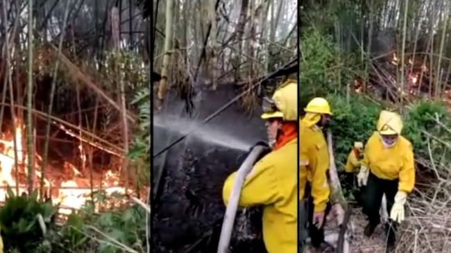 Bomberos de Sevilla, al límite: advierten cese por falta de recursos tras incendios
