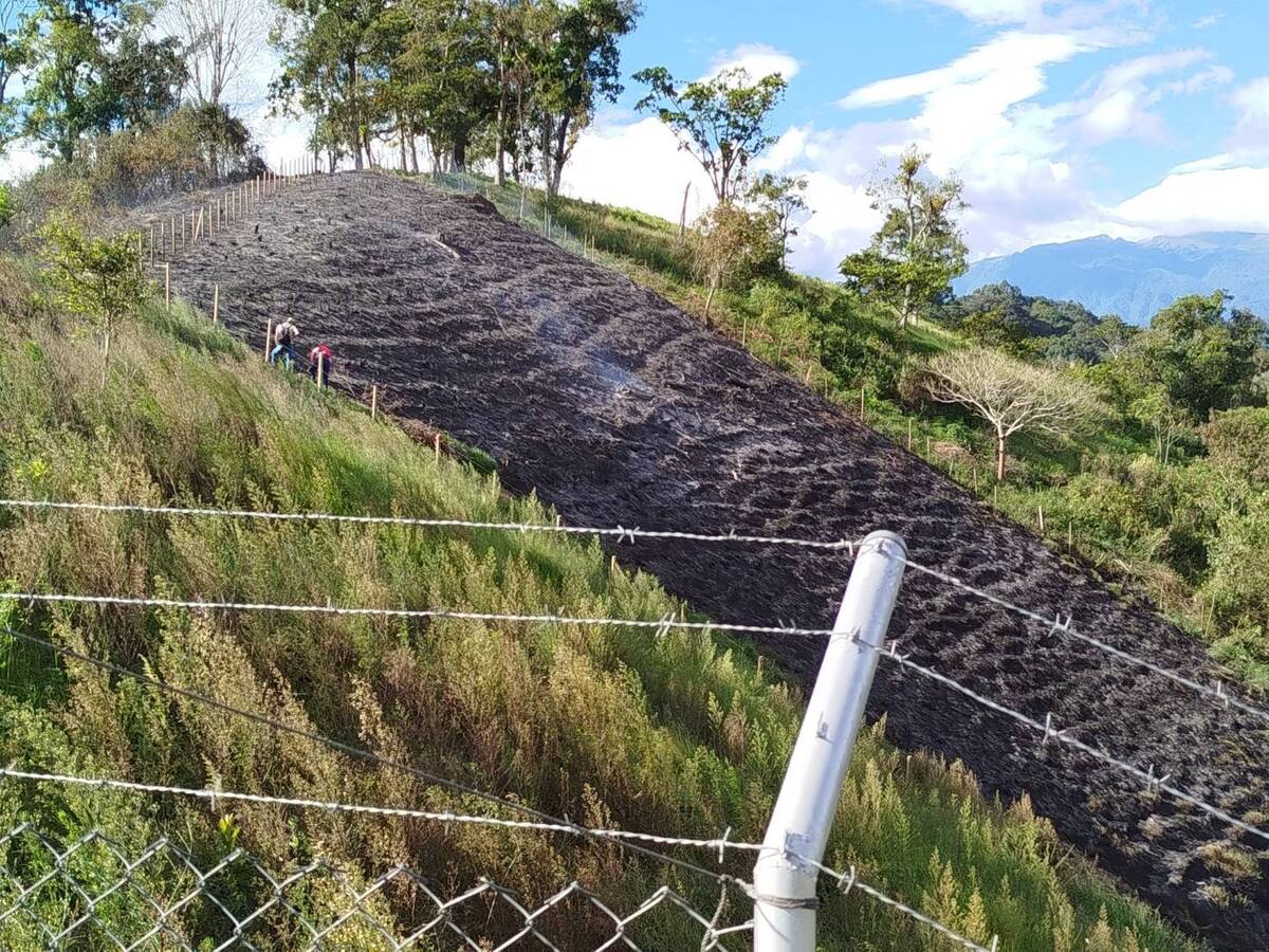 11 de los 12 municipios del Quindío en alerta por riesgo de incendios de cobertura vegetal