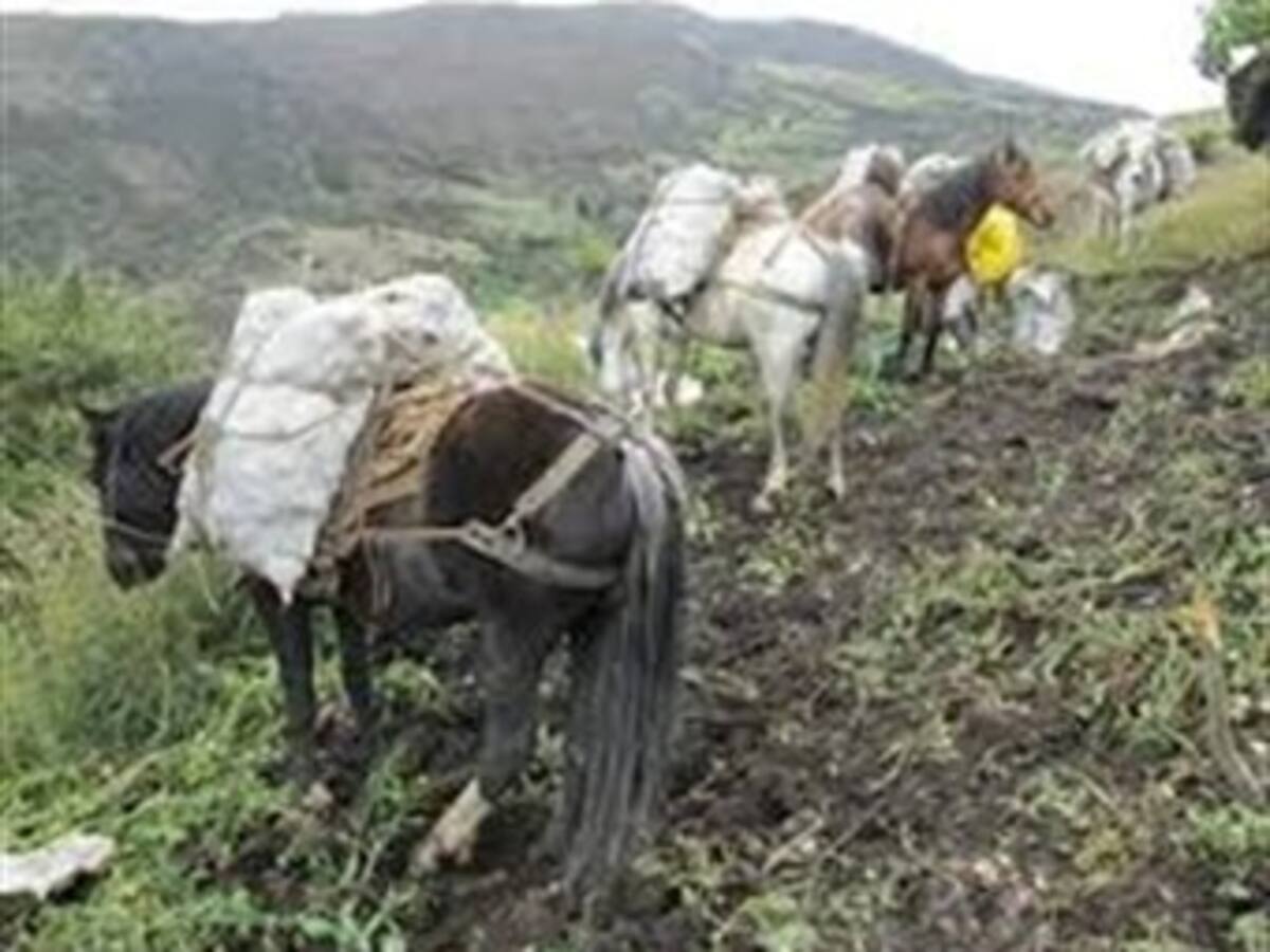 Lecheros, mineros y paperos de Cundinamarca se declaran en crisis