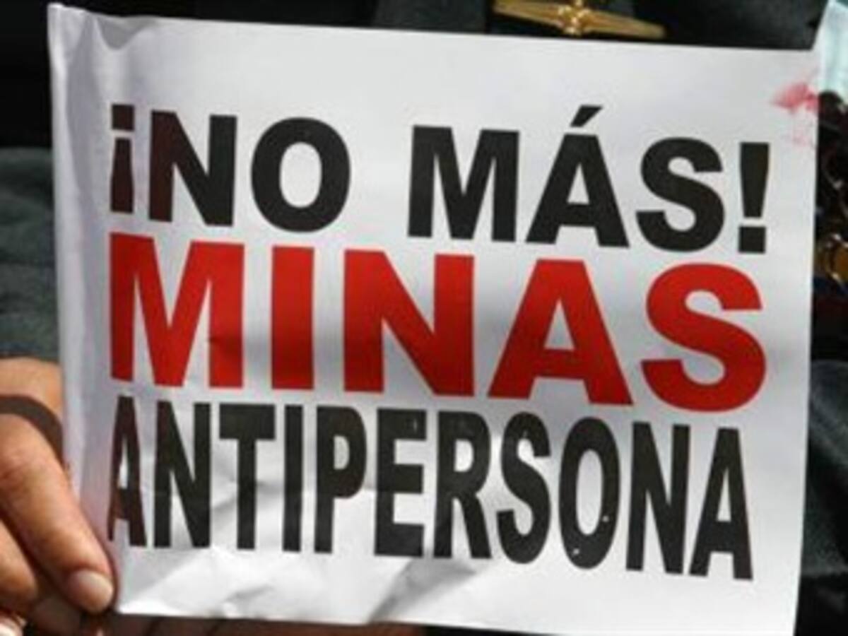 500 minas antipersona ha destruido este año Séptima División del Ejército