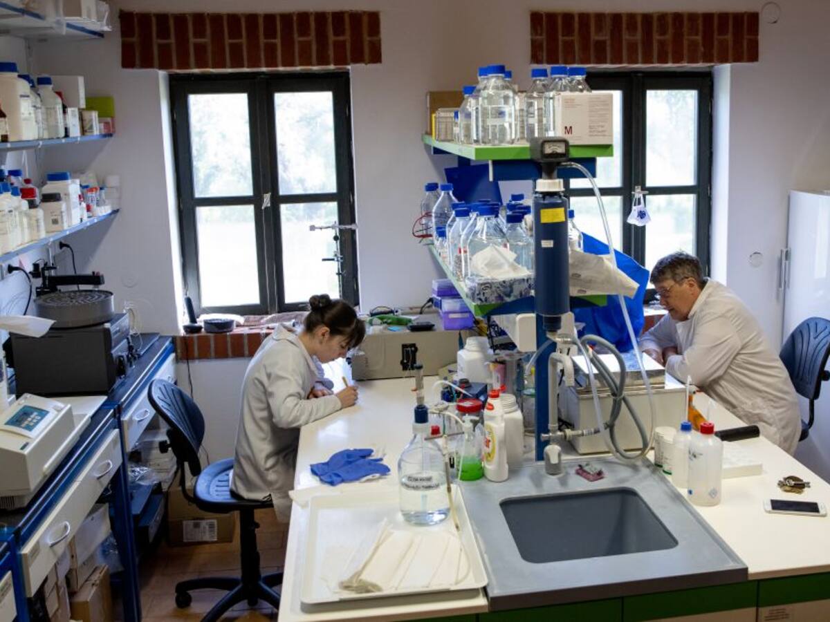 Opiniones divididas por aumento del intervalo en la segunda dosis de Pfizer