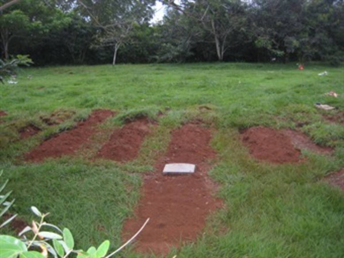 En Granada, Meta y San José del Guaviare, habría más fosas comunes de NN