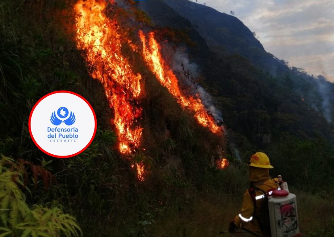 Defensoría pide a cuatro departamentos reforzar prevención de incendios forestales. Cortesía: Colprensa.