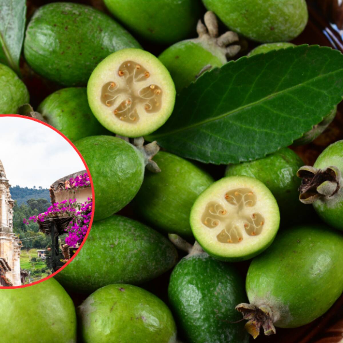 ¿Cómo se llama el pueblo de la feijoa en Boyacá? Produce 184 toneladas al año