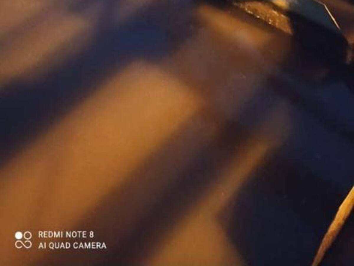 Piden a la Contraloría intervenir la UNGRD por irregularidades en acueducto de Pueblo Rico