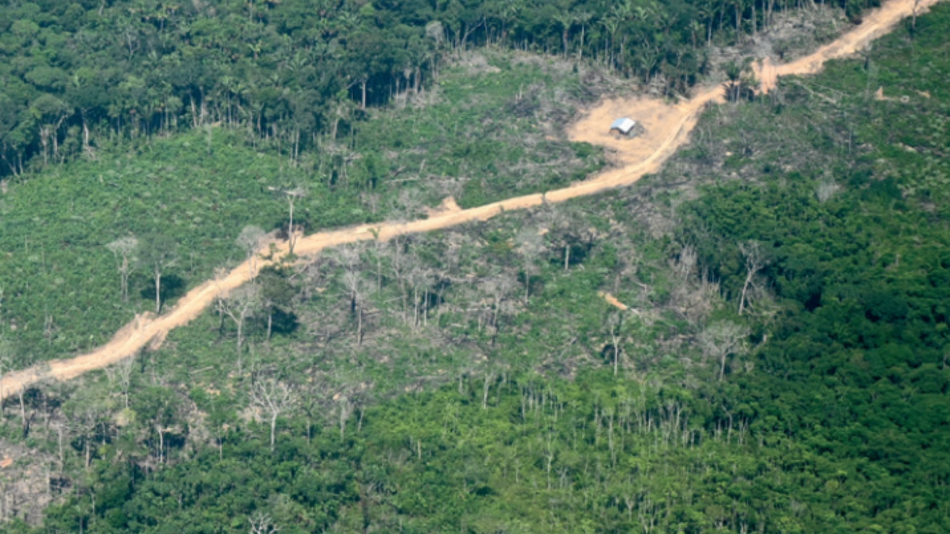 Vías en el interfluvio de los ríos Siare e Iteviare 2025. | Foto: FCDS