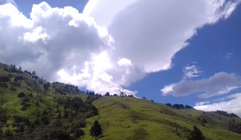 De lunes a viernes escuche 1150AM Las noticias de la región.