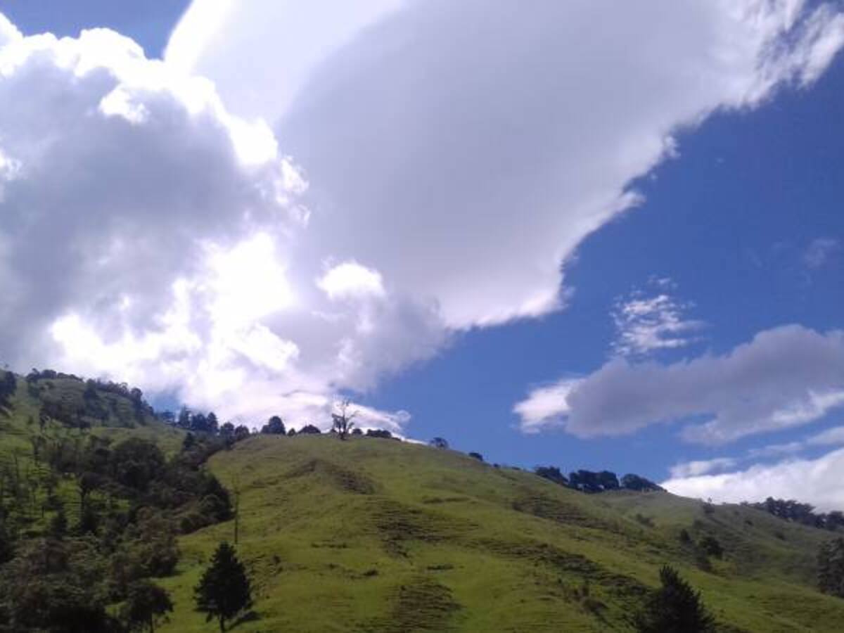 Las noticias más importantes de Armenia y Quindío, martes 23 de enero