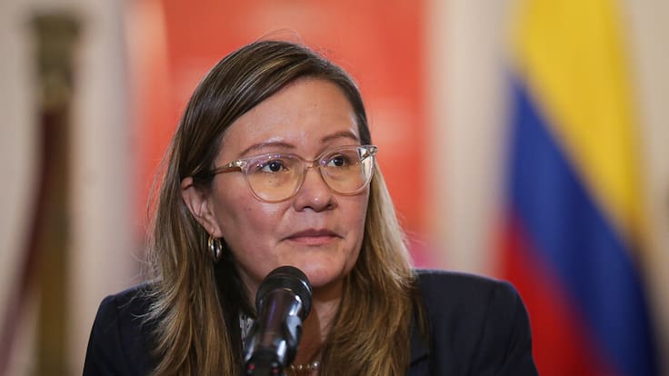 “Ese fallo no es debido a mi experiencia, sino al debilitamiento de la institucionalidad”: Rusinque