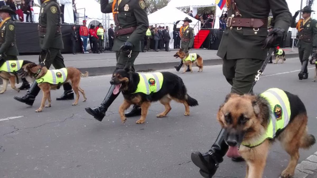 Miles de personas en todo el país se movilizan para observar los desfiles del 20 de julio.