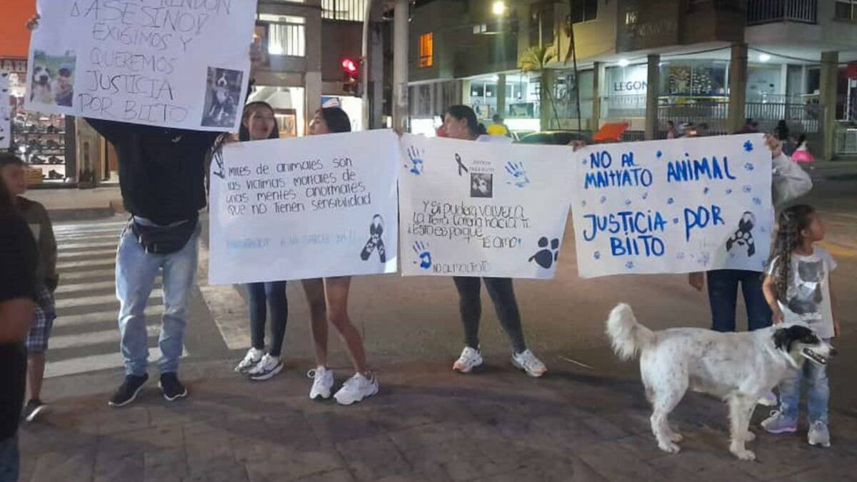 Jorge Manso, propietario perro asesinado en Quindío